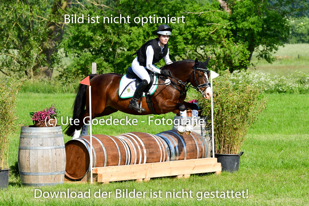 Goldene Schärpe Ponys in Löningen 4+5.6.22 | 04062022 - Gelände 1 Abt _0197