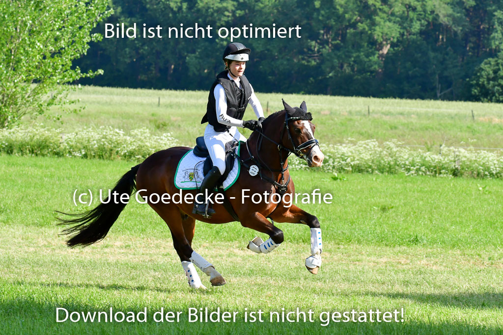 Goldene Schärpe Ponys in Löningen 4+5.6.22 | 04062022 - Gelände 1 Abt _0199