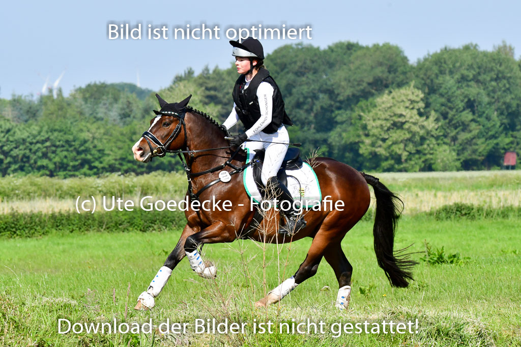 Goldene Schärpe Ponys in Löningen  4+5.6.22 | 04062022 - Gelände 1 Abt _0208 