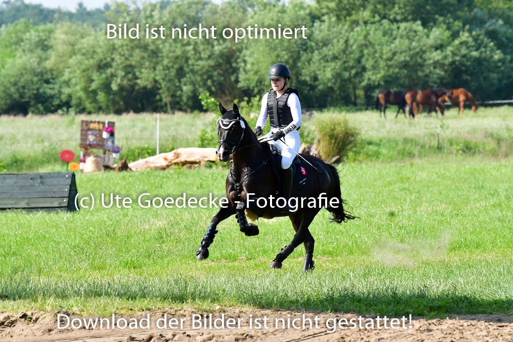 Goldene Schärpe Ponys in Löningen  4+5.6.22 | 04062022 - Gelände 1 Abt _0224 