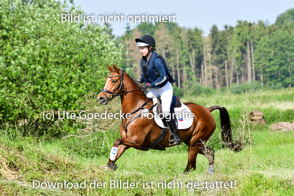 Goldene Schärpe Ponys in Löningen 4+5.6.22 | 04062022 - Gelände 1 Abt _0244