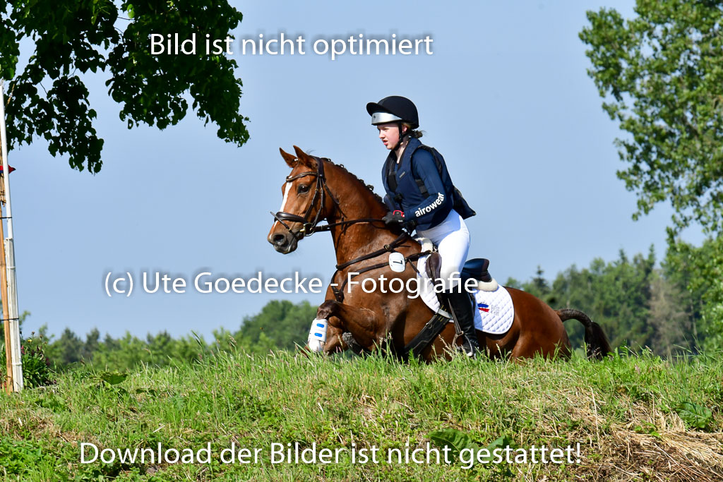 Goldene Schärpe Ponys in Löningen 4+5.6.22 | 04062022 - Gelände 1 Abt _0246