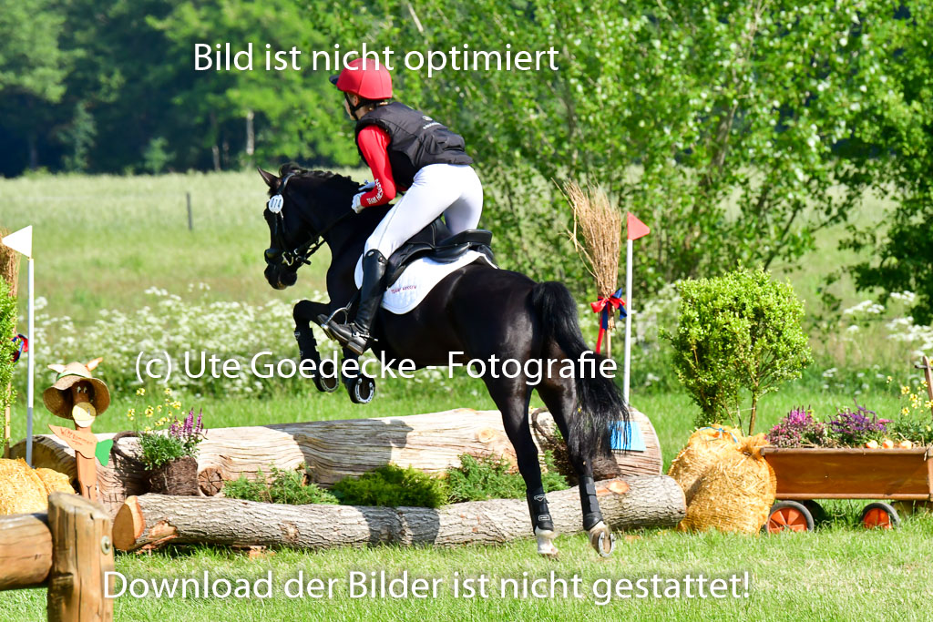 Goldene Schärpe Ponys in Löningen 4+5.6.22 | 04062022 - Gelände 1 Abt _0254