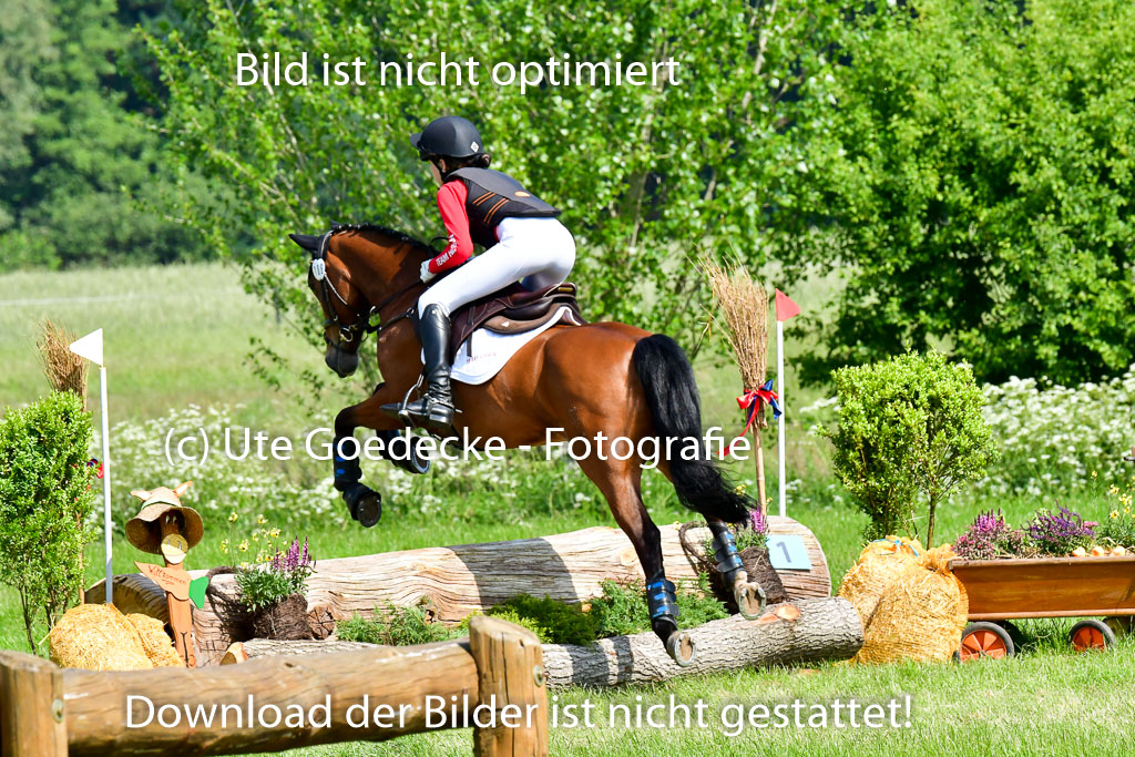 Goldene Schärpe Ponys in Löningen 4+5.6.22 | 04062022 - Gelände 1 Abt _0522