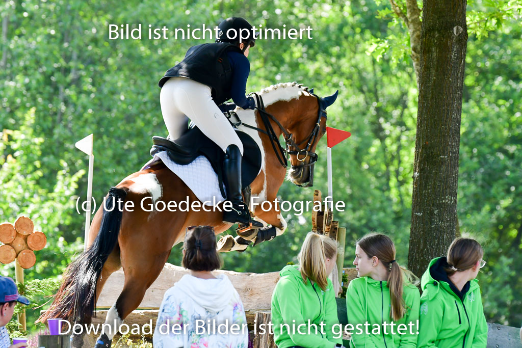 Goldene Schärpe Ponys in Löningen 4+5.6.22 | 04062022 - Gelände 1 Abt _0560