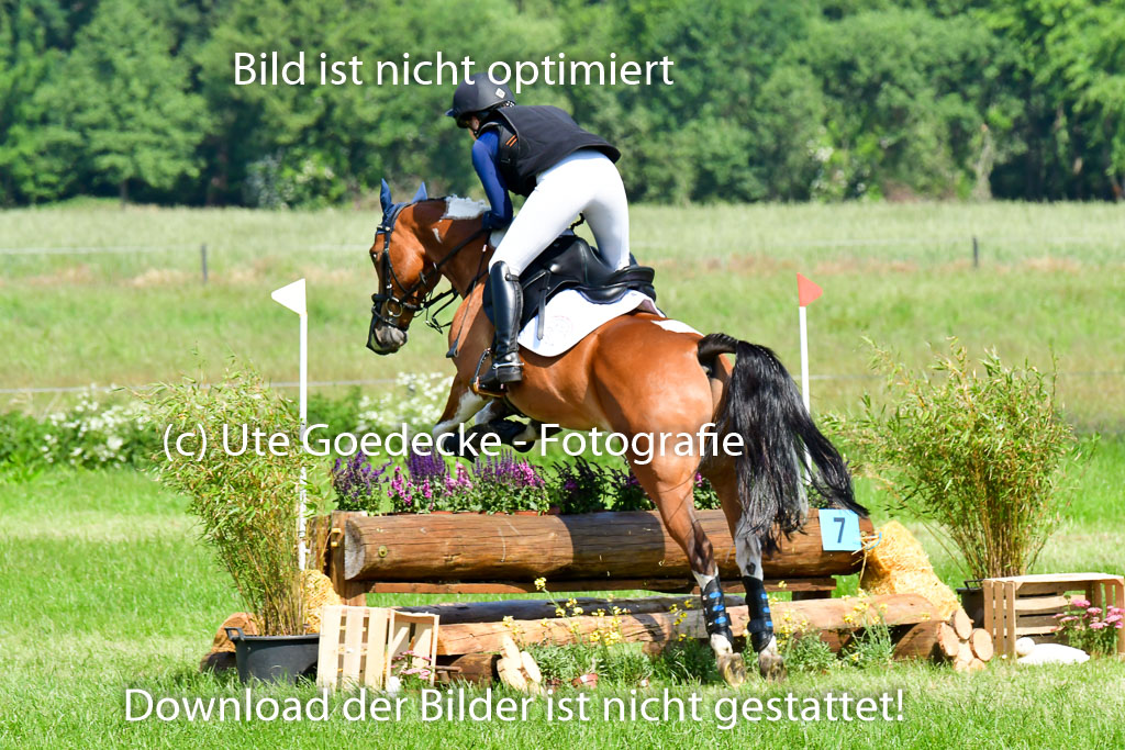 Goldene Schärpe Ponys in Löningen 4+5.6.22 | 04062022 - Gelände 1 Abt _0561