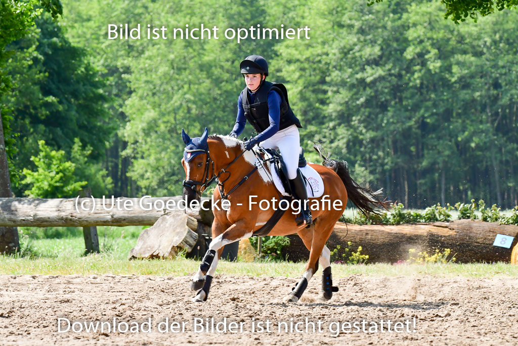 Goldene Schärpe Ponys in Löningen 4+5.6.22 | 04062022 - Gelände 1 Abt _0566