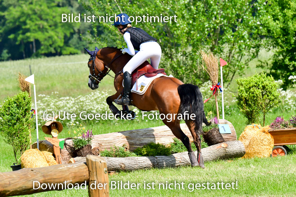 Goldene Schärpe Ponys in Löningen 4+5.6.22 | 04062022 - Gelände 1 Abt _0574