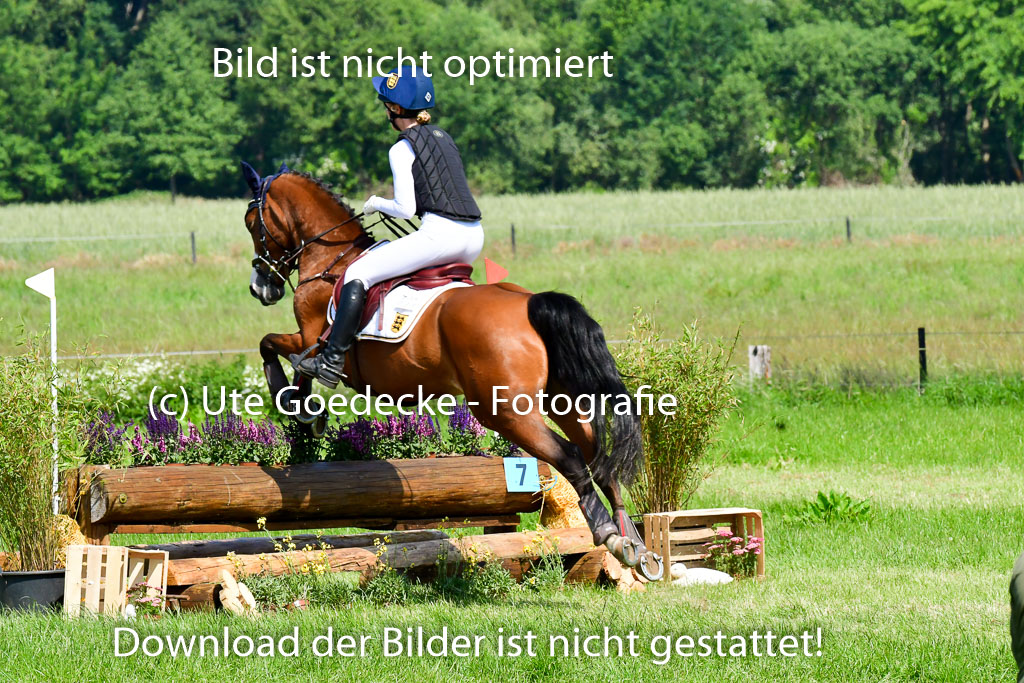 Goldene Schärpe Ponys in Löningen 4+5.6.22 | 04062022 - Gelände 1 Abt _0579