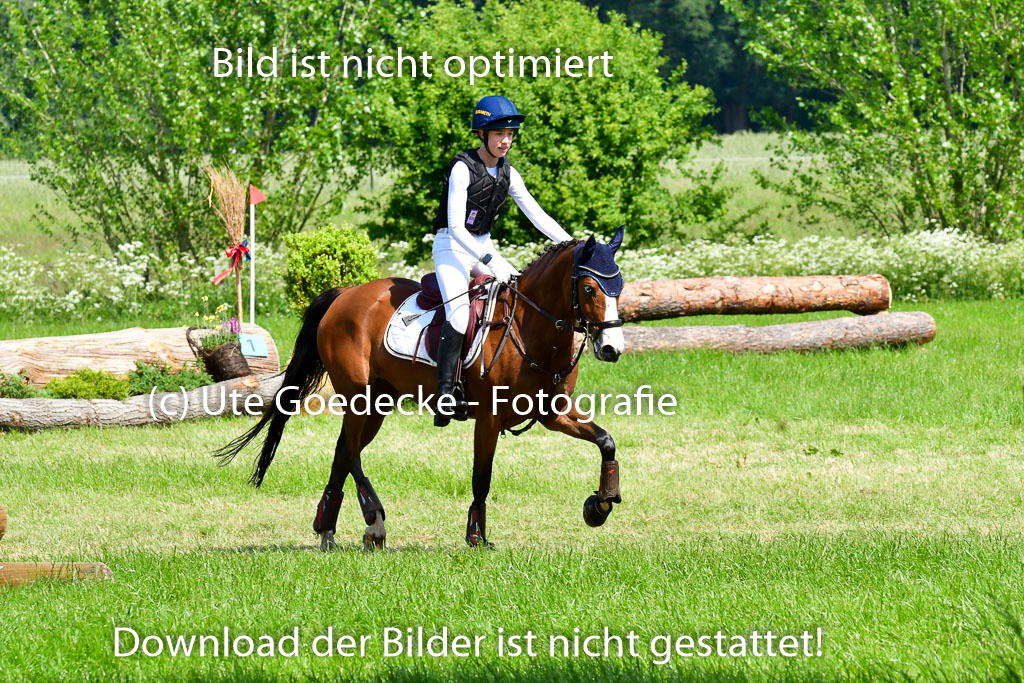 Goldene Schärpe Ponys in Löningen 4+5.6.22 | 04062022 - Gelände 1 Abt _0594