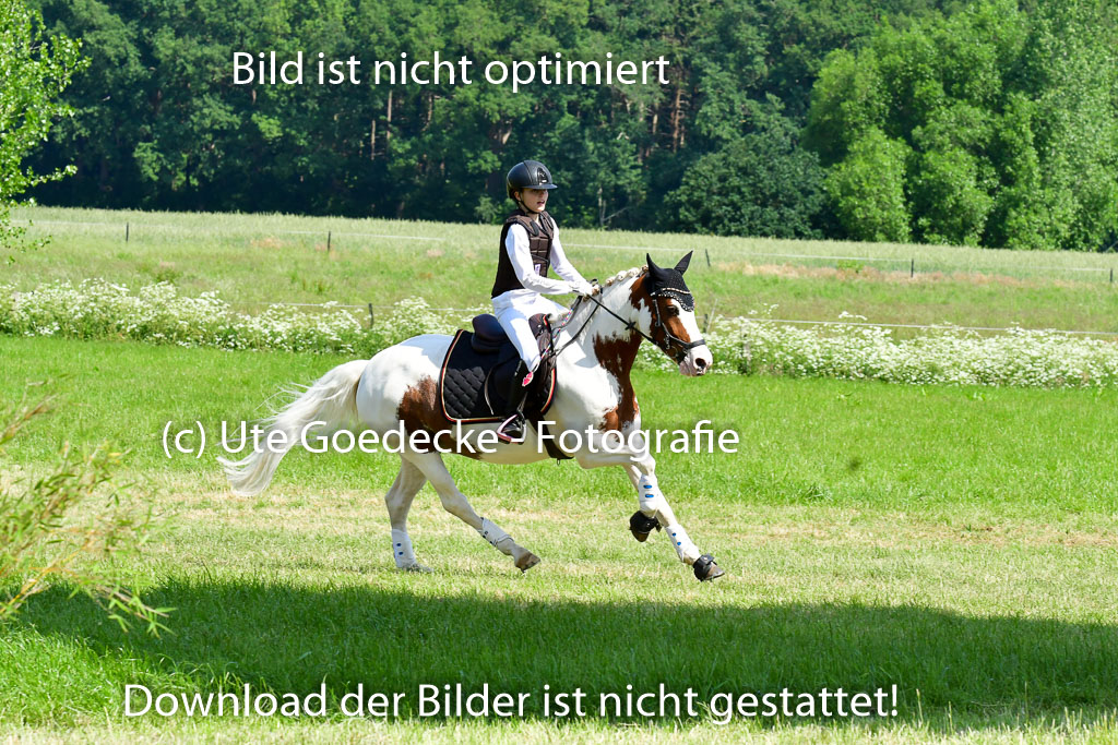 Goldene Schärpe Ponys in Löningen 4+5.6.22 | 04062022 - Gelände 1 Abt _0597