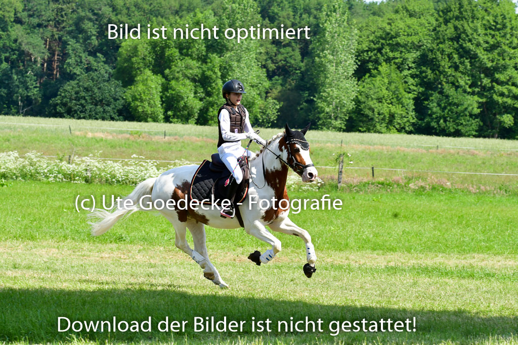 Goldene Schärpe Ponys in Löningen 4+5.6.22 | 04062022 - Gelände 1 Abt _0598