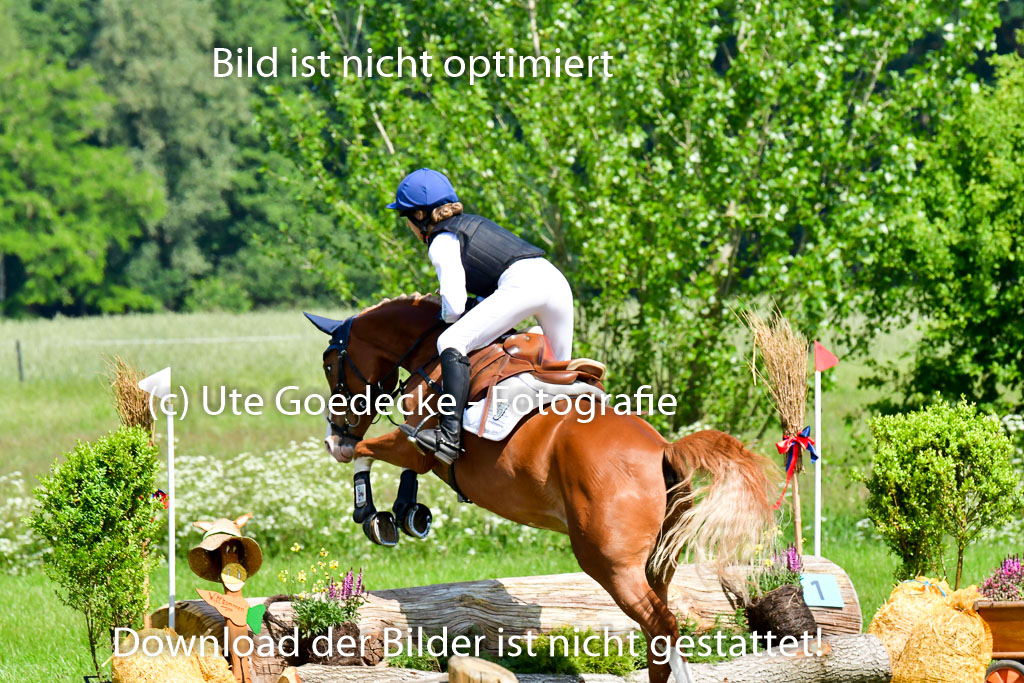 Goldene Schärpe Ponys in Löningen 4+5.6.22 | 04062022 - Gelände 1 Abt _0612