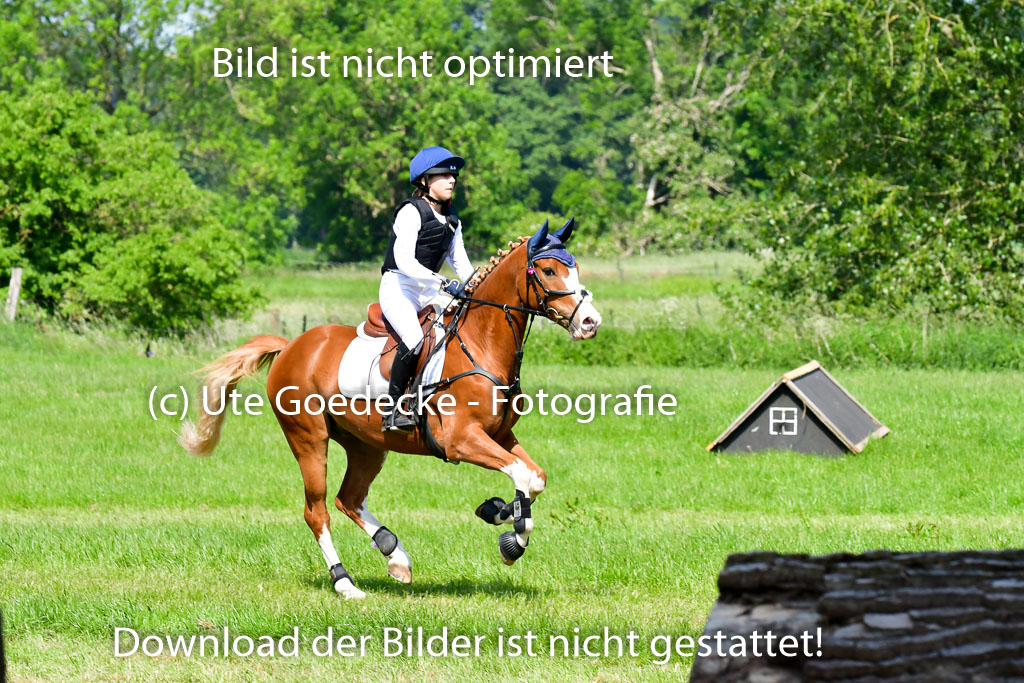 Goldene Schärpe Ponys in Löningen 4+5.6.22 | 04062022 - Gelände 1 Abt _0615