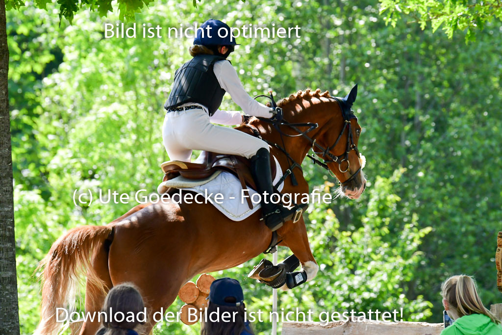 Goldene Schärpe Ponys in Löningen 4+5.6.22 | 04062022 - Gelände 1 Abt _0619