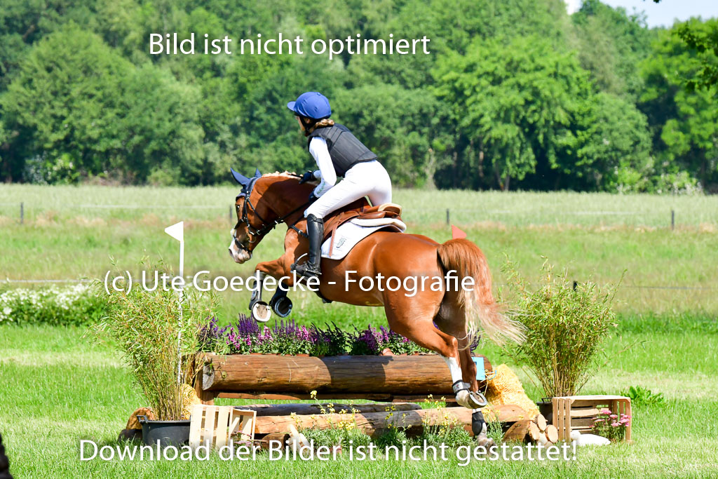 Goldene Schärpe Ponys in Löningen 4+5.6.22 | 04062022 - Gelände 1 Abt _0620
