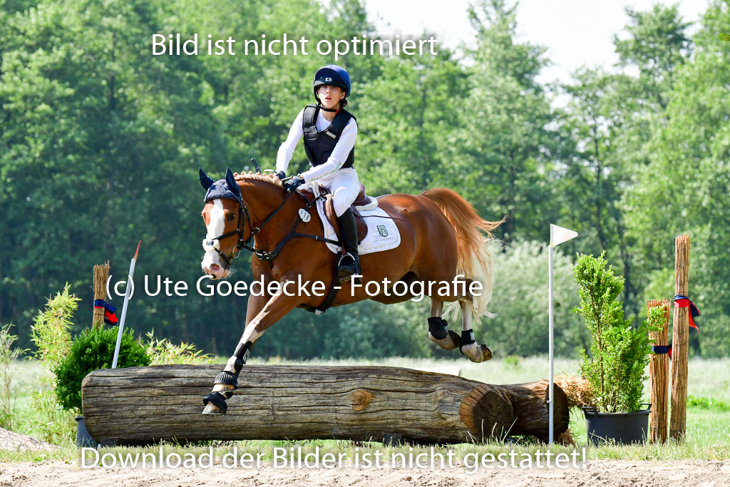 Goldene Schärpe Ponys in Löningen 4+5.6.22 | 04062022 - Gelände 1 Abt _0625