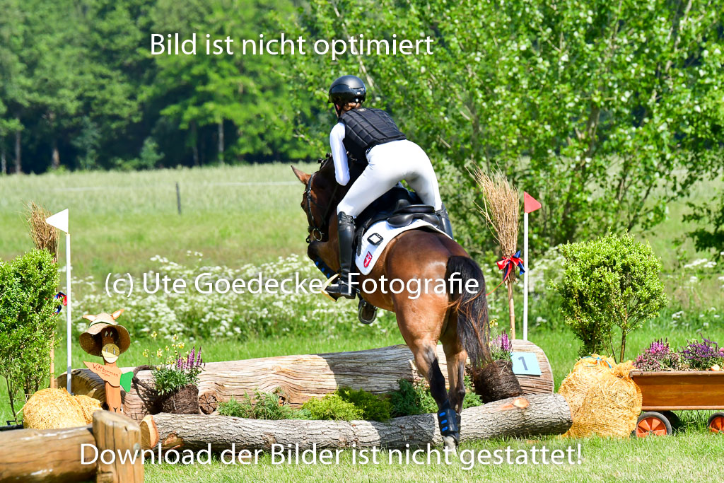 Goldene Schärpe Ponys in Löningen 4+5.6.22 | 04062022 - Gelände 1 Abt _0633