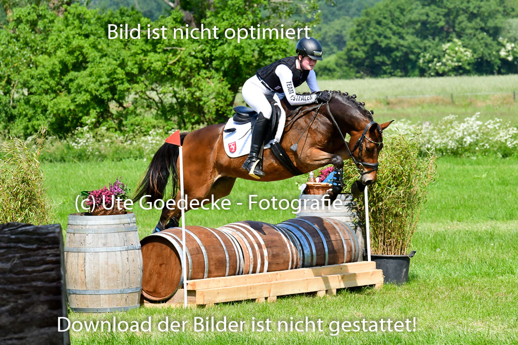Goldene Schärpe Ponys in Löningen 4+5.6.22 | 04062022 - Gelände 1 Abt _0636