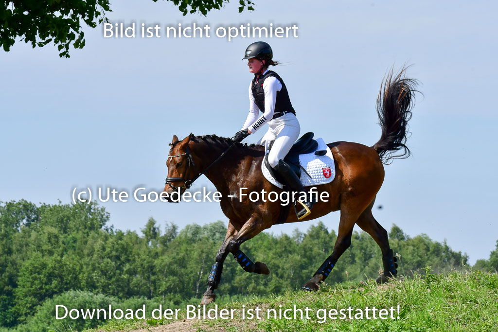 Goldene Schärpe Ponys in Löningen 4+5.6.22 | 04062022 - Gelände 1 Abt _0644