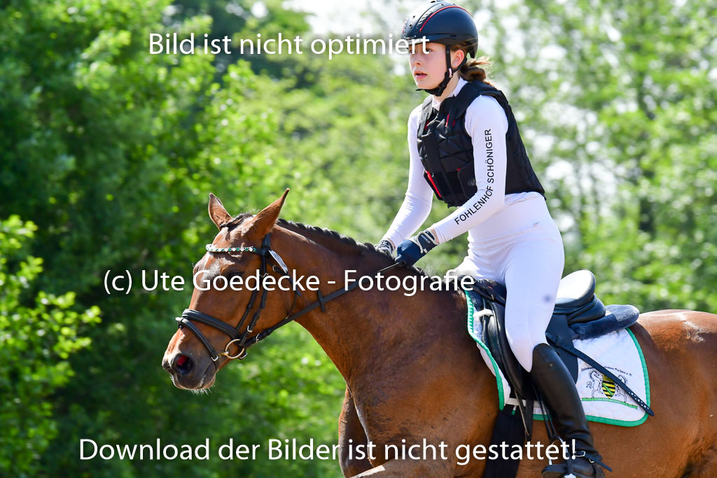 Goldene Schärpe Ponys in Löningen 4+5.6.22 | 04062022 - Gelände 1 Abt _0653