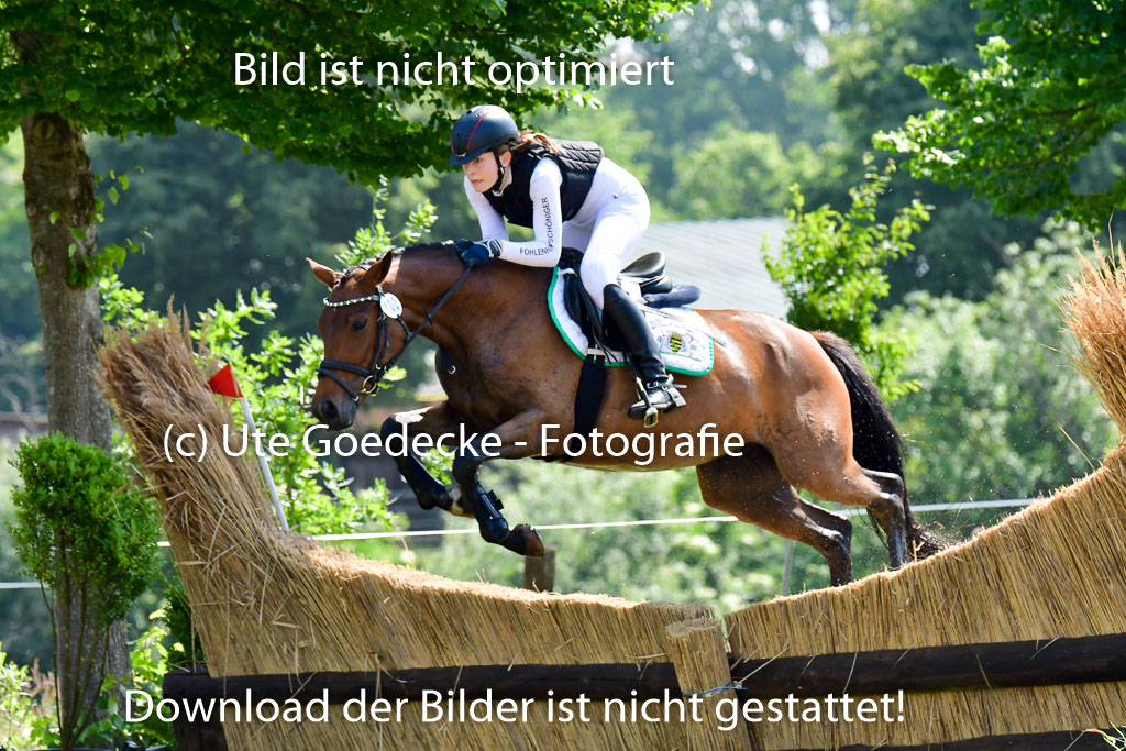 Goldene Schärpe Ponys in Löningen 4+5.6.22 | 04062022 - Gelände 1 Abt _0655