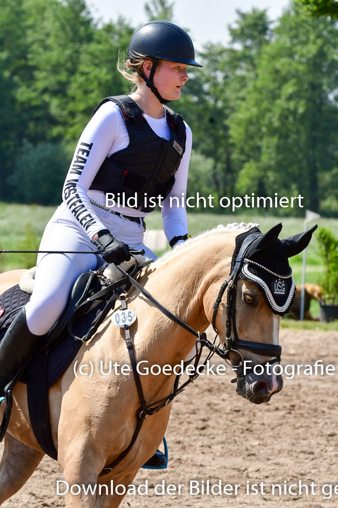 Goldene Schärpe Ponys in Löningen 4+5.6.22 | 04062022 - Gelände 1 Abt _0656