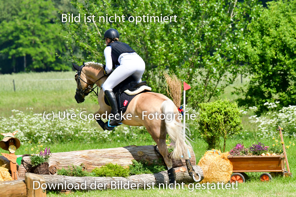 Goldene Schärpe Ponys in Löningen 4+5.6.22 | 04062022 - Gelände 1 Abt _0657