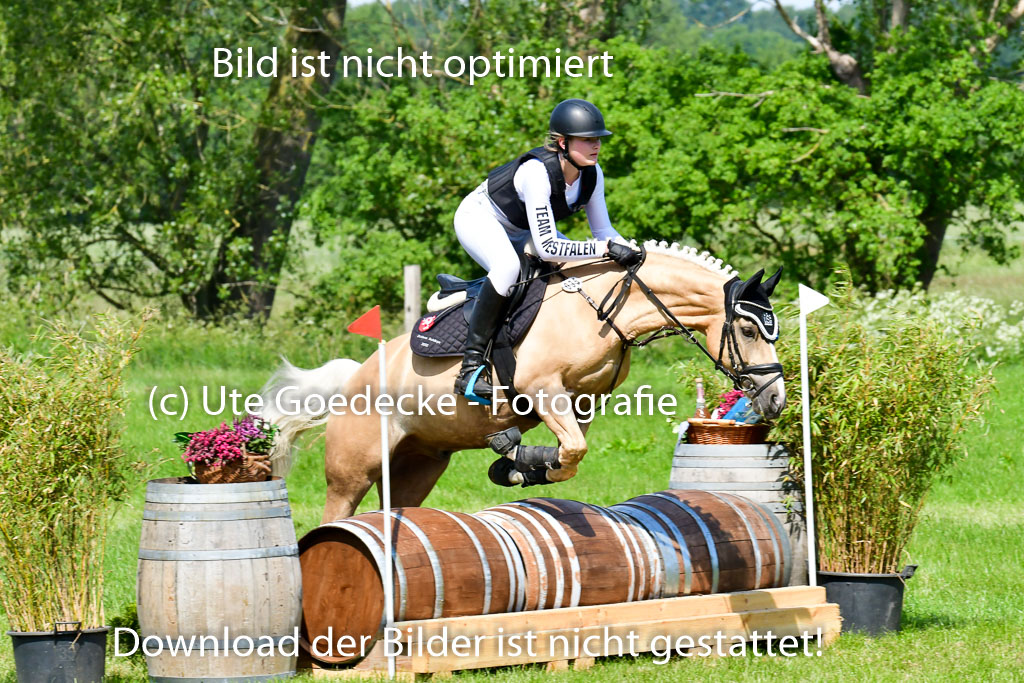 Goldene Schärpe Ponys in Löningen 4+5.6.22 | 04062022 - Gelände 1 Abt _0659