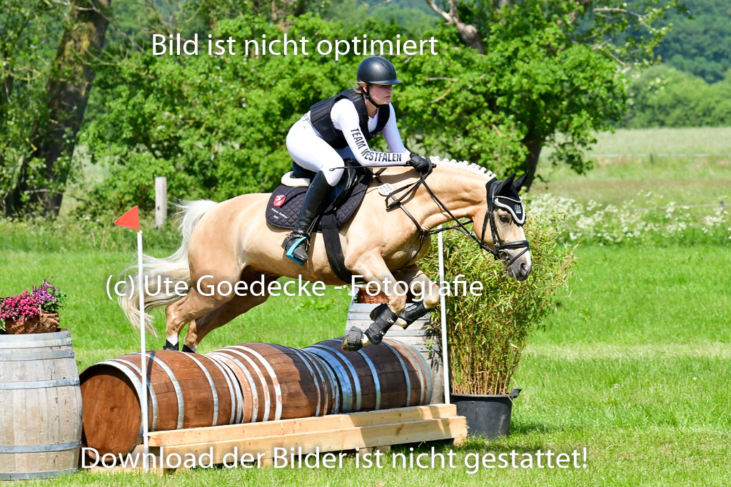 Goldene Schärpe Ponys in Löningen 4+5.6.22 | 04062022 - Gelände 1 Abt _0660