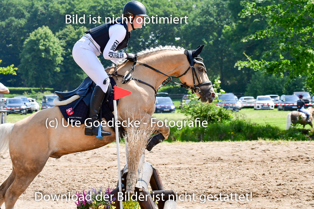 Goldene Schärpe Ponys in Löningen 4+5.6.22 | 04062022 - Gelände 1 Abt _0661