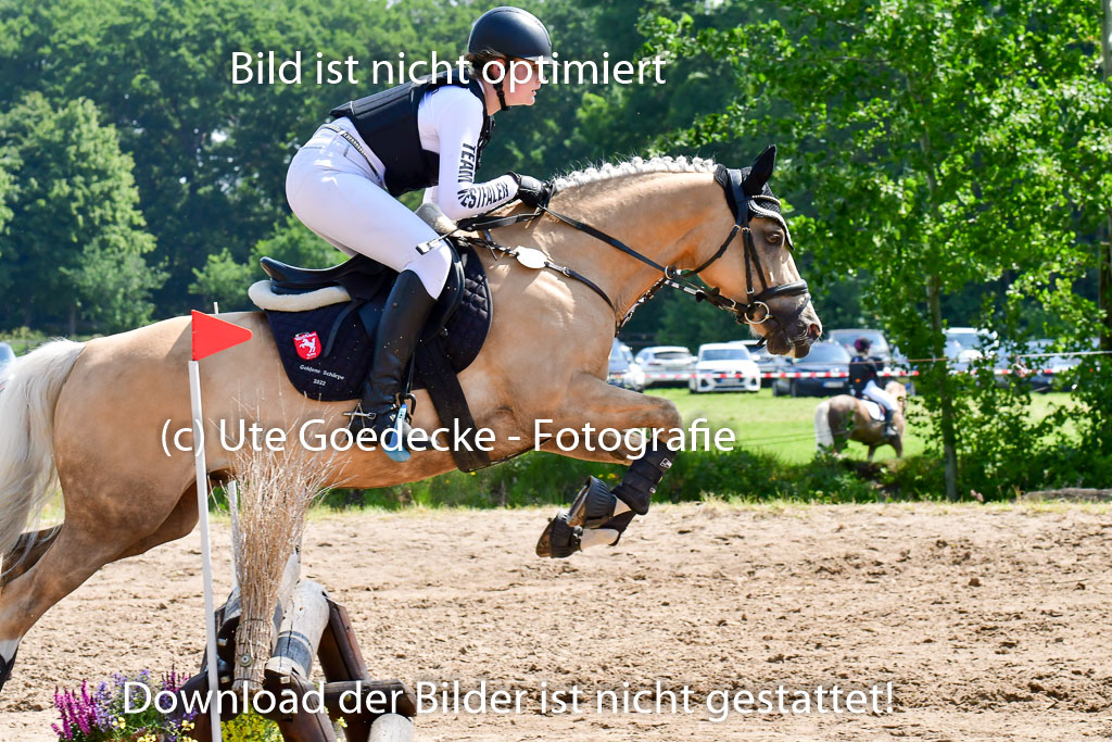 Goldene Schärpe Ponys in Löningen 4+5.6.22 | 04062022 - Gelände 1 Abt _0662