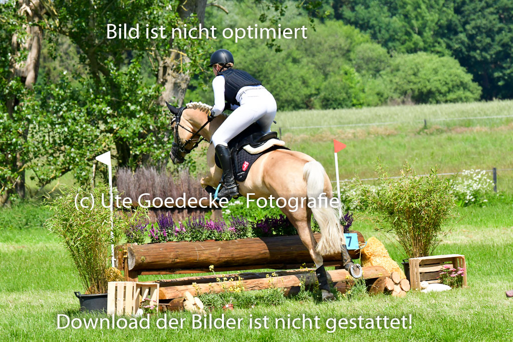 Goldene Schärpe Ponys in Löningen 4+5.6.22 | 04062022 - Gelände 1 Abt _0664