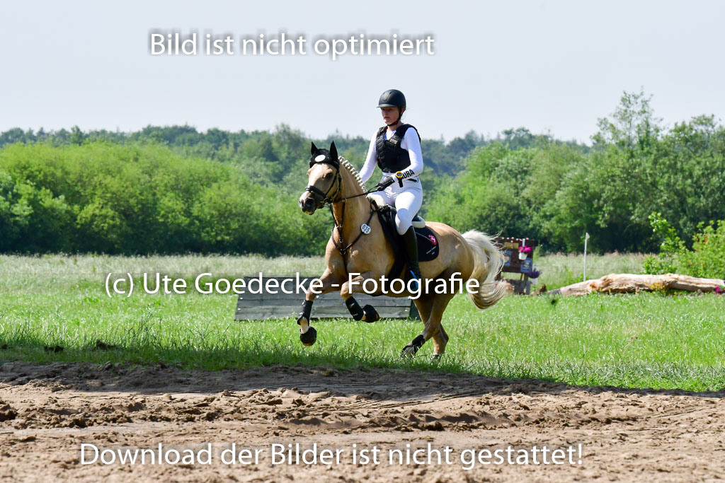 Goldene Schärpe Ponys in Löningen 4+5.6.22 | 04062022 - Gelände 1 Abt _0666