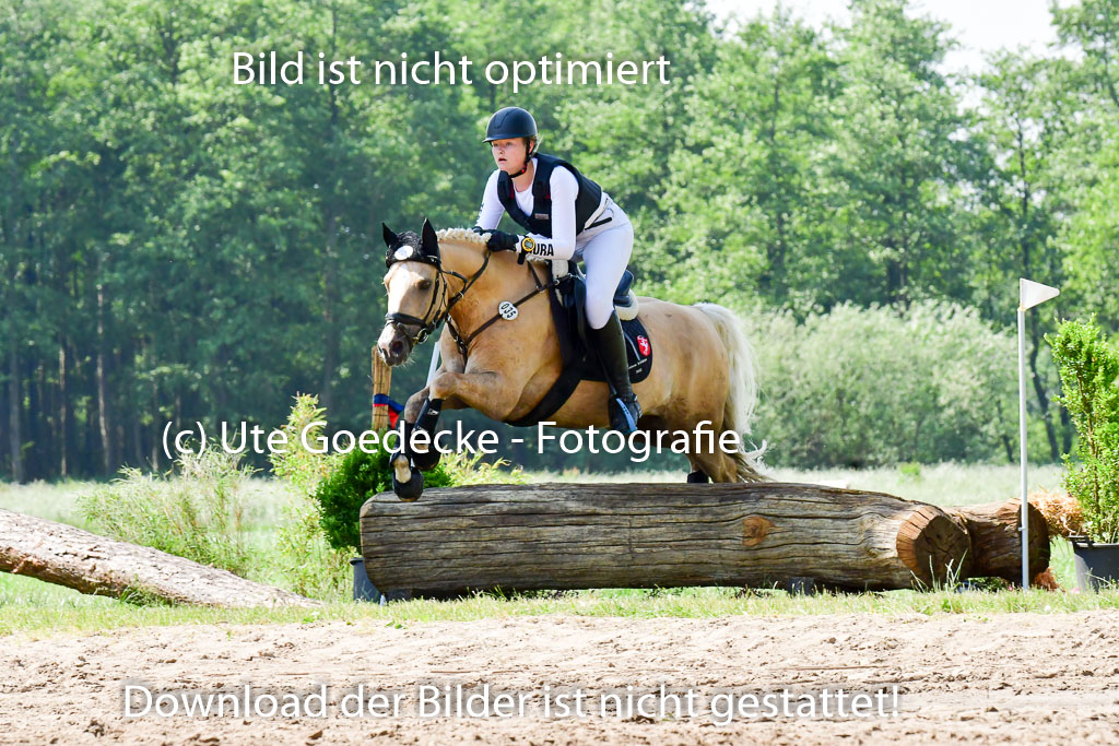 Goldene Schärpe Ponys in Löningen 4+5.6.22 | 04062022 - Gelände 1 Abt _0668