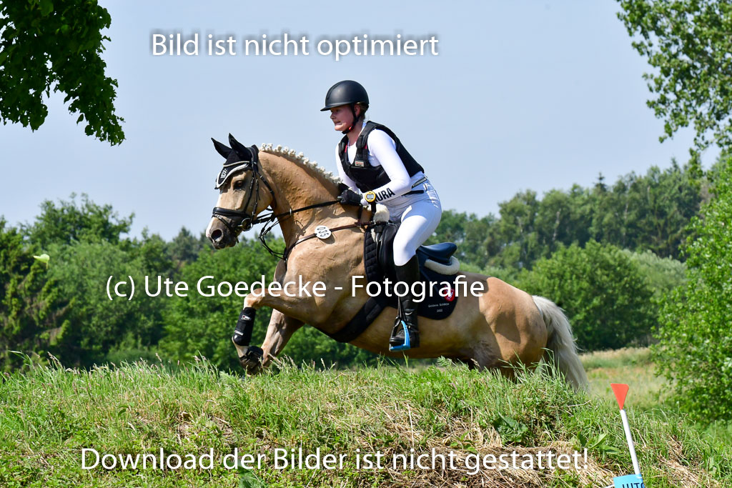 Goldene Schärpe Ponys in Löningen 4+5.6.22 | 04062022 - Gelände 1 Abt _0673