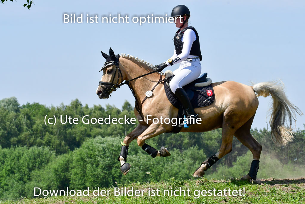 Goldene Schärpe Ponys in Löningen 4+5.6.22 | 04062022 - Gelände 1 Abt _0675