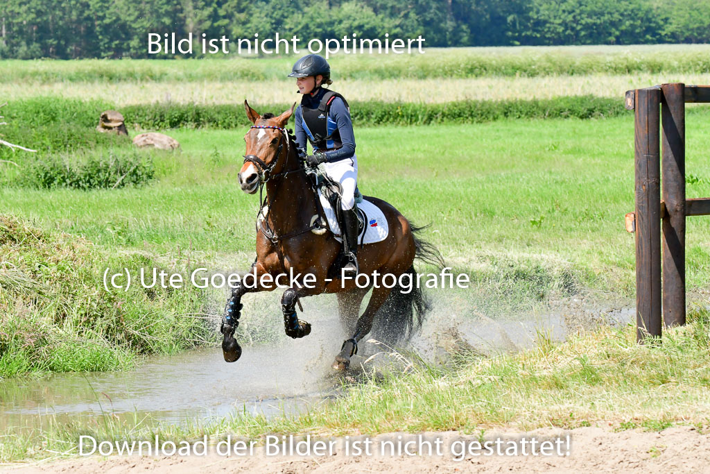 Goldene Schärpe Ponys in Löningen 4+5.6.22 | 04062022 - Gelände 1 Abt _0682