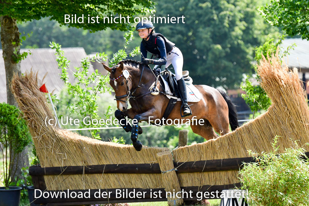 Goldene Schärpe Ponys in Löningen 4+5.6.22 | 04062022 - Gelände 1 Abt _0688