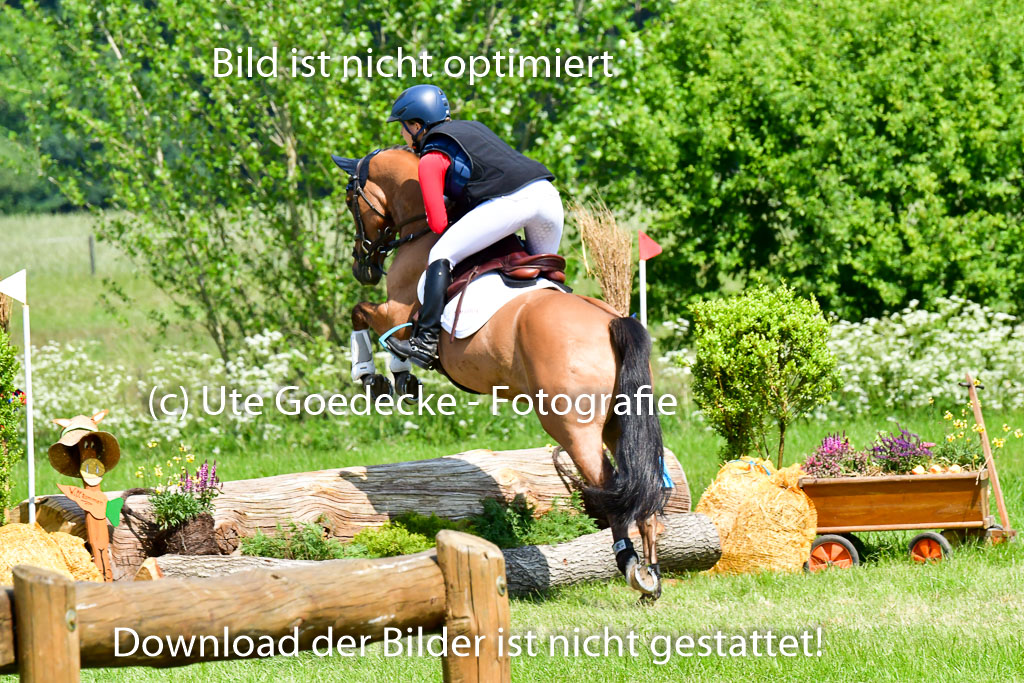 Goldene Schärpe Ponys in Löningen 4+5.6.22 | 04062022 - Gelände 1 Abt _0692