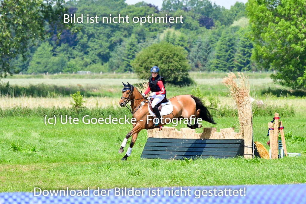 Goldene Schärpe Ponys in Löningen 4+5.6.22 | 04062022 - Gelände 1 Abt _0693