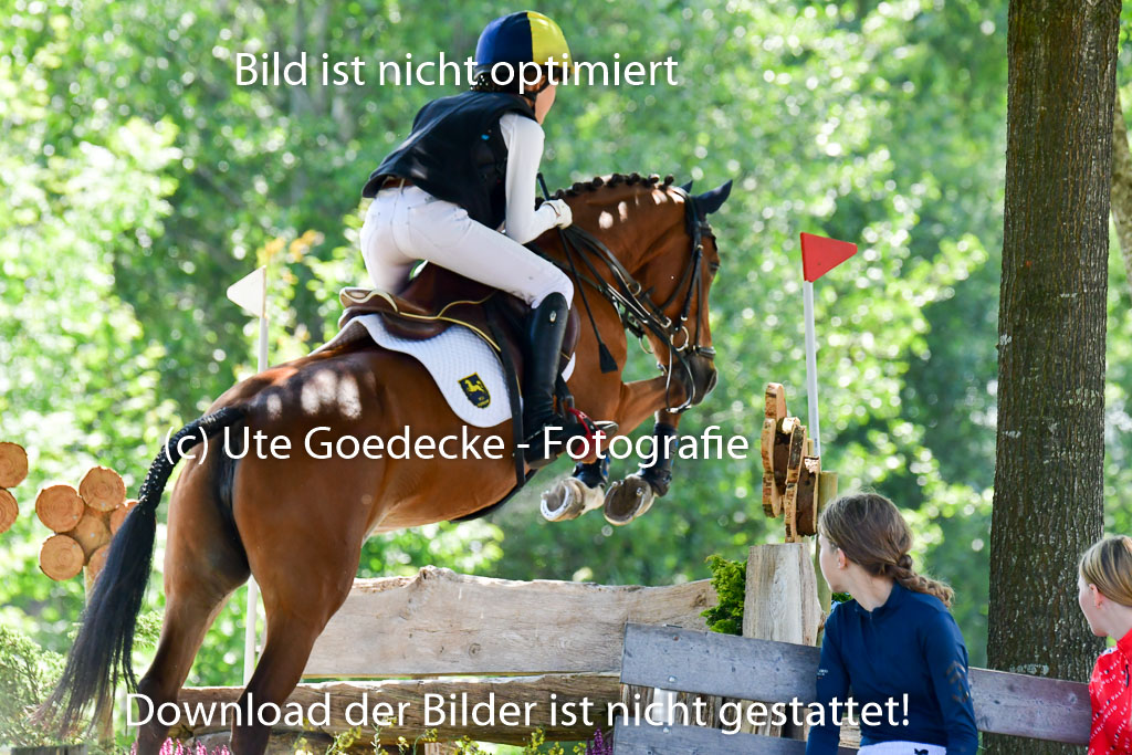 Goldene Schärpe Ponys in Löningen  4+5.6.22 | 04062022 - Gelände 1 Abt _0778 