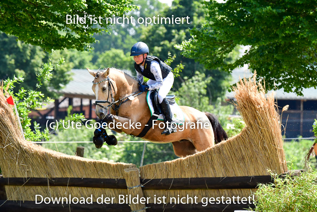 Goldene Schärpe Ponys in Löningen 4+5.6.22 | 04062022 - Gelände 1 Abt _0846