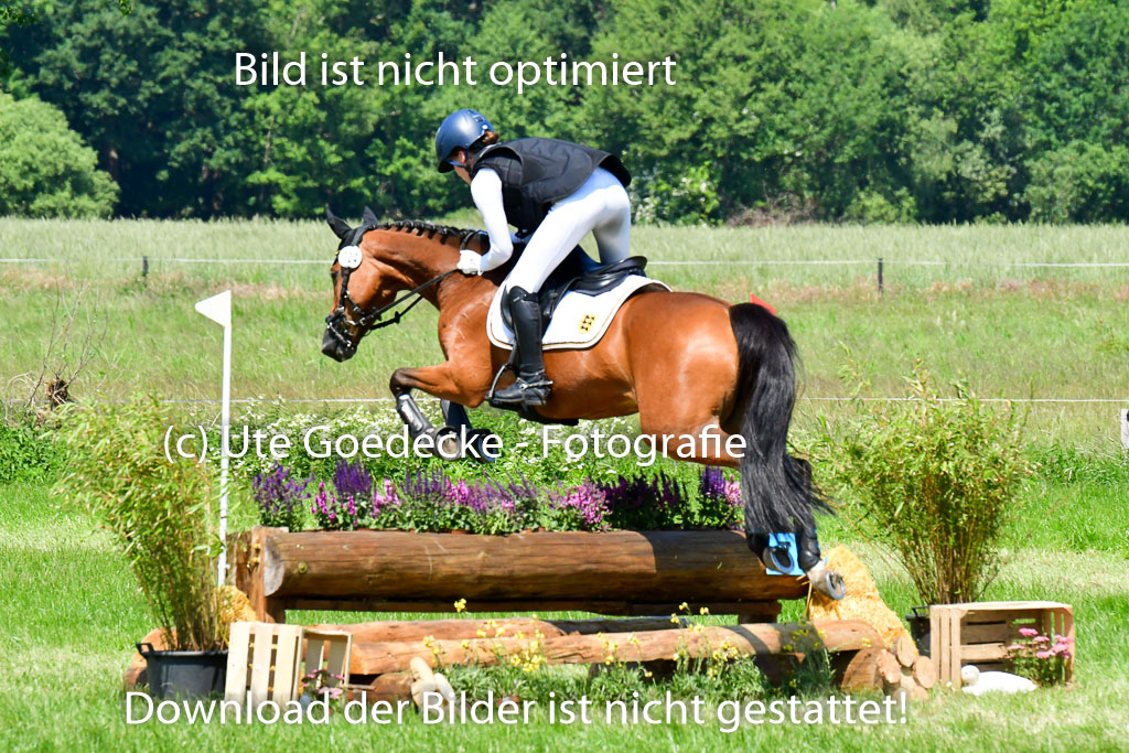Goldene Schärpe Ponys in Löningen 4+5.6.22 | 04062022 - Gelände 1 Abt _0901