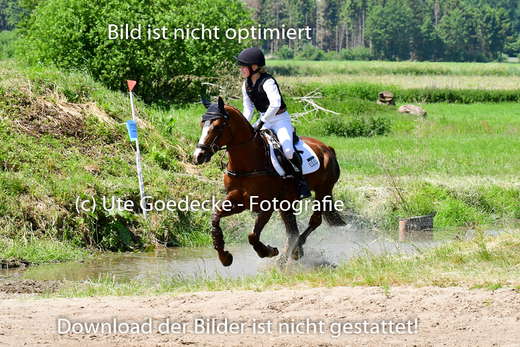 Goldene Schärpe Ponys in Löningen 4+5.6.22 | 04062022 - Gelände 1 Abt _0917
