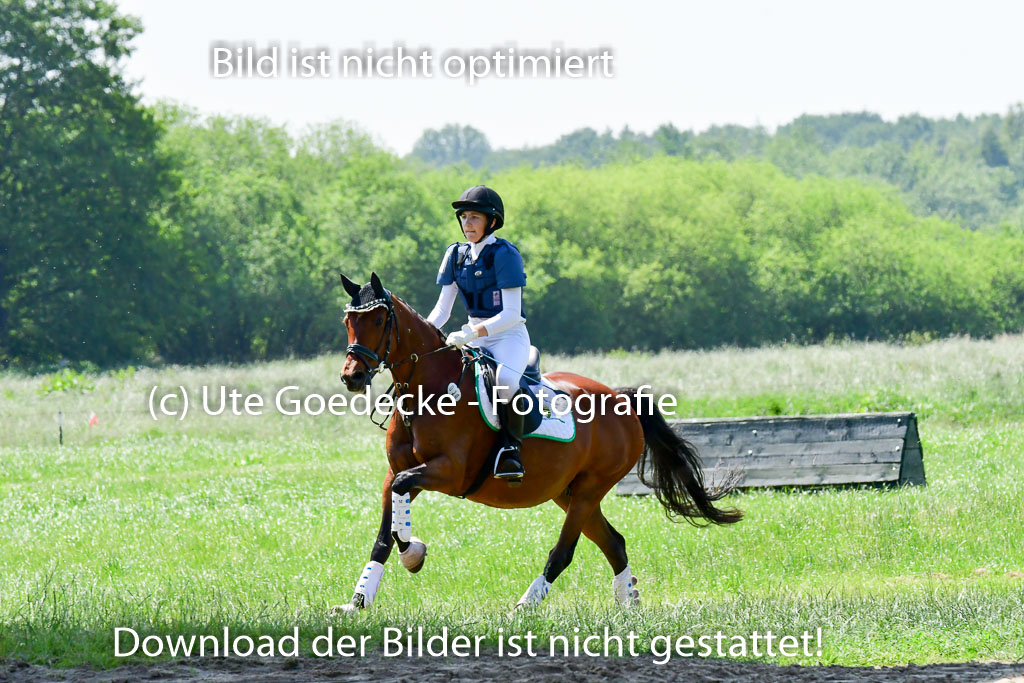 Goldene Schärpe Ponys in Löningen 4+5.6.22 | 04062022 - Gelände 1 Abt _0938