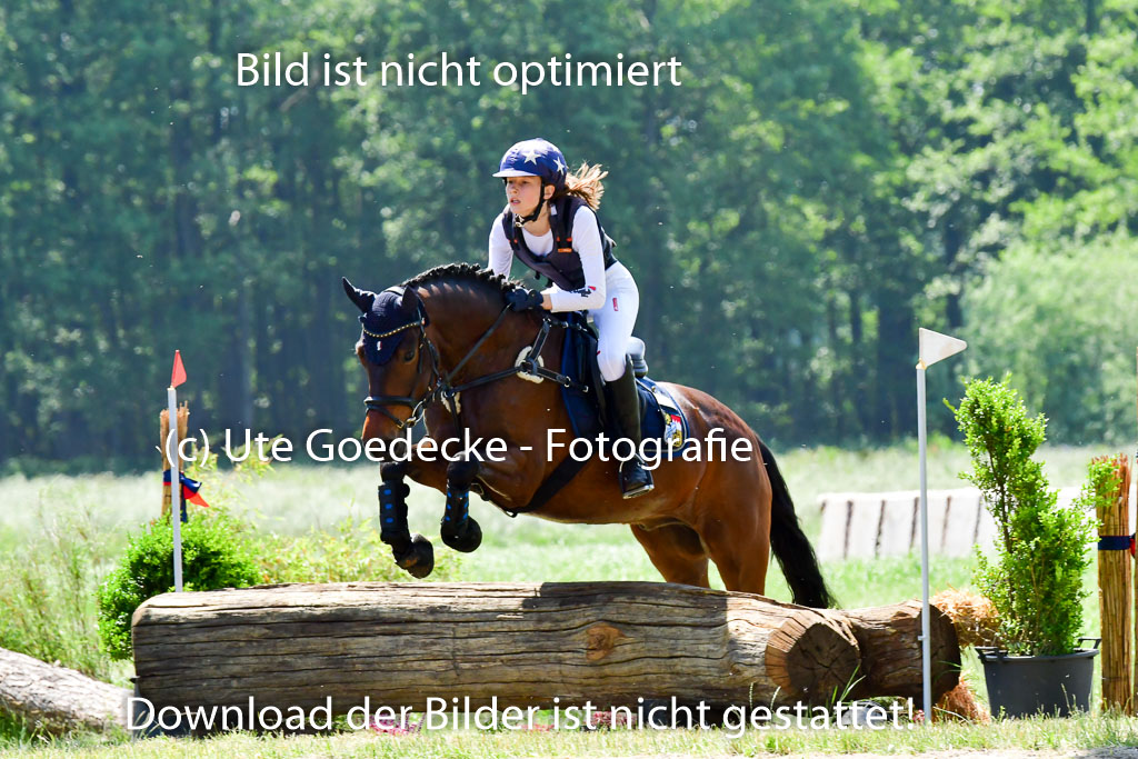 Goldene Schärpe Ponys in Löningen 4+5.6.22 | 04062022 - Gelände 1 Abt _0971