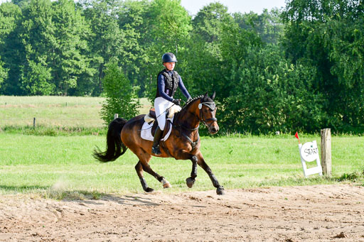 Goldene Schärpe Ponys in Löningen  4+5.6.22 | 04062022 - Gelände 1 Abt _0017 