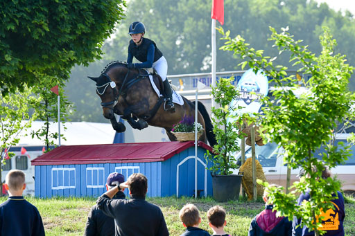 Goldene Schärpe Ponys in Löningen  4+5.6.22 | 04062022 - Gelände 1 Abt _0019 