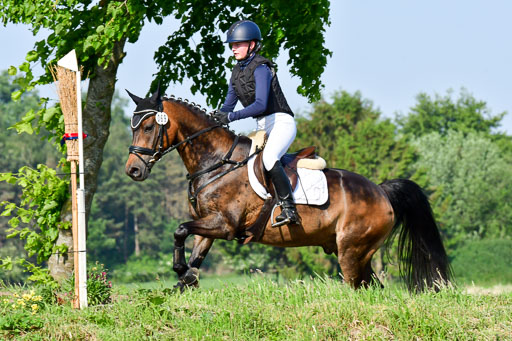 Goldene Schärpe Ponys in Löningen  4+5.6.22 | 04062022 - Gelände 1 Abt _0023 